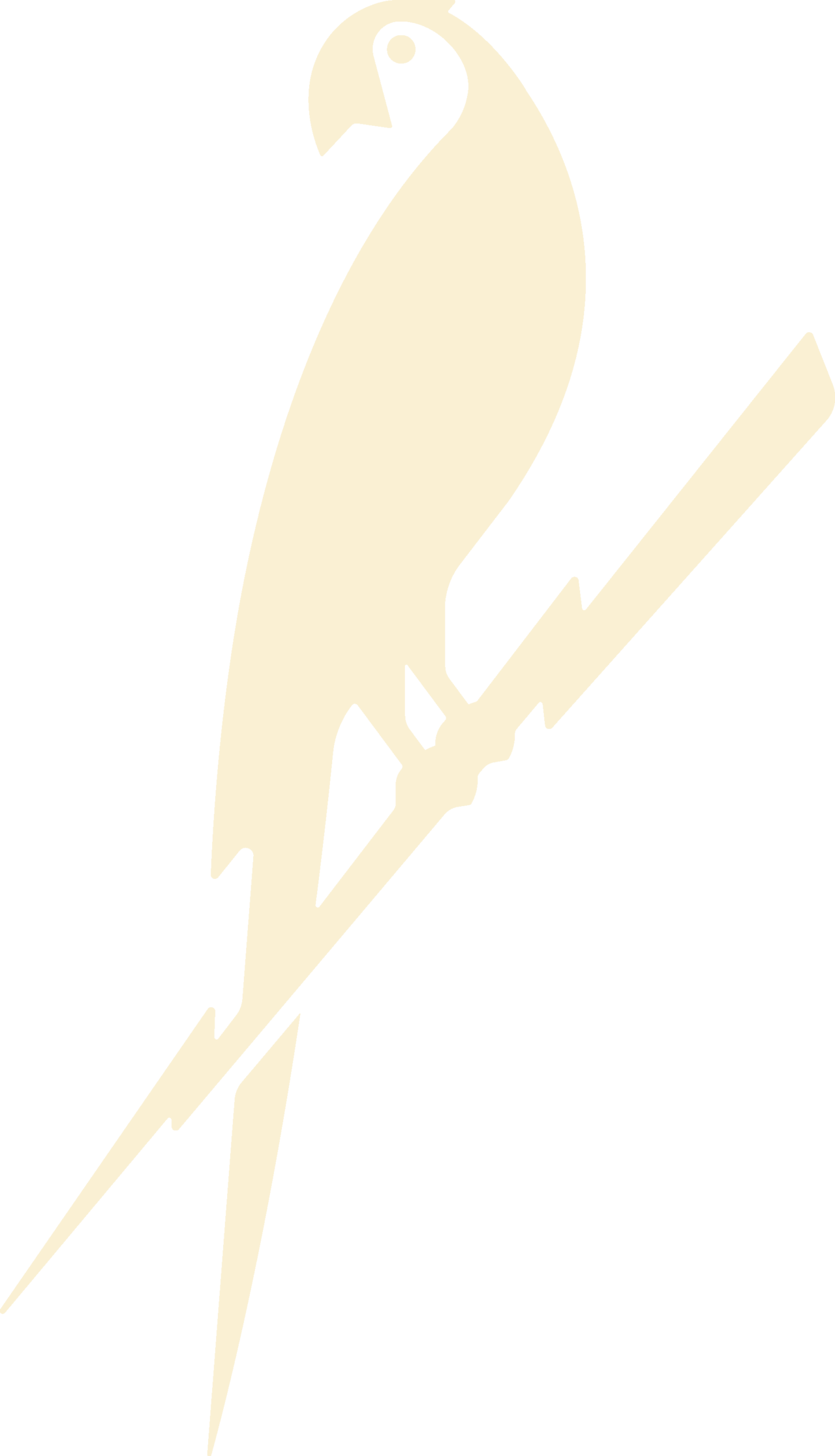 TBB_Parrot_CornsilkCream