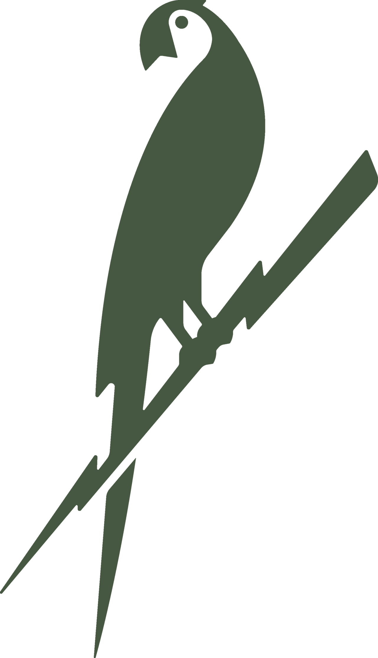 TBB_Parrot_GraniteGreen